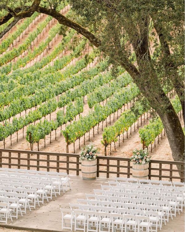 Gallery image for B.R. Cohn Winery