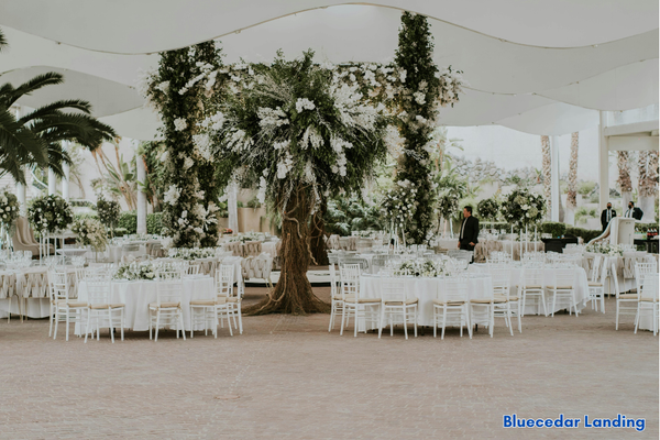 Portfolio image for Blue Cedar Landing