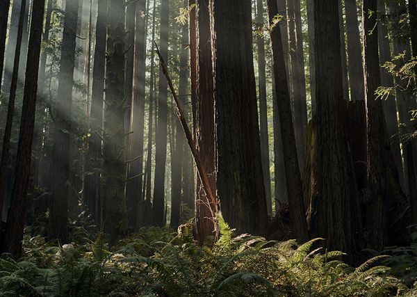 Gallery image for The Sea Ranch Lodge