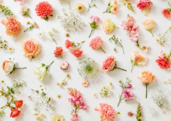 Portfolio image for Terry's Florist