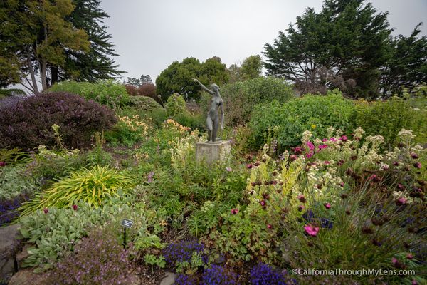 Gallery image for Mendocino Coast Botanical Gardens