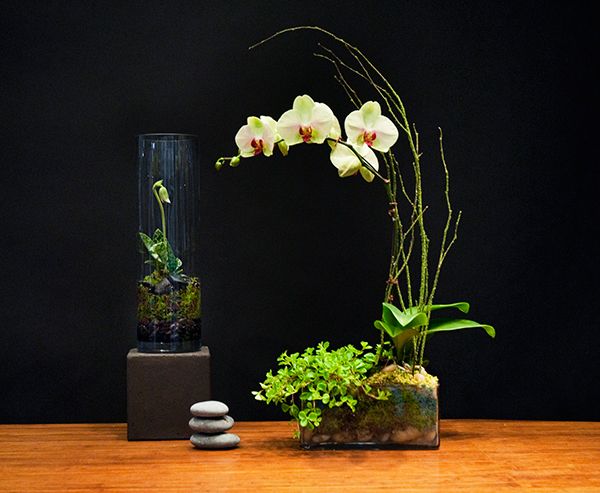Portfolio image for Young Flowers Seattle