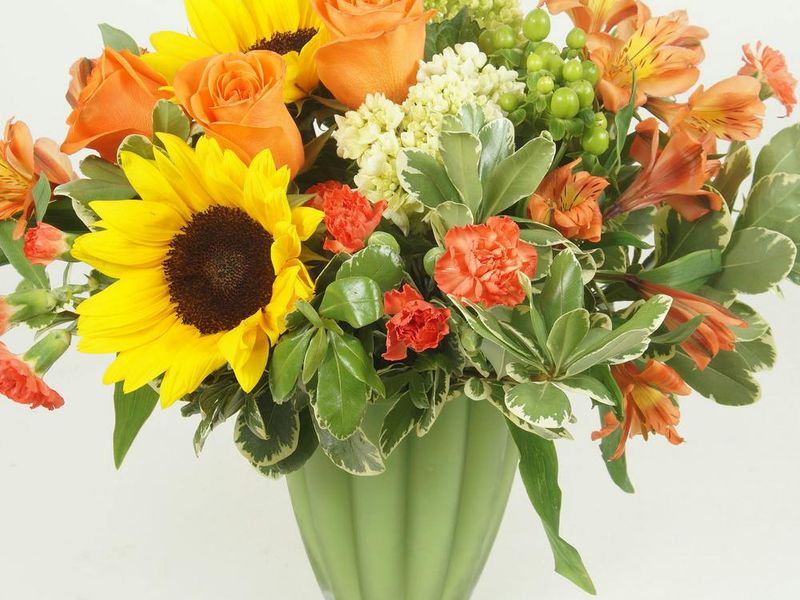Shotwell Floral & Greenhouse
