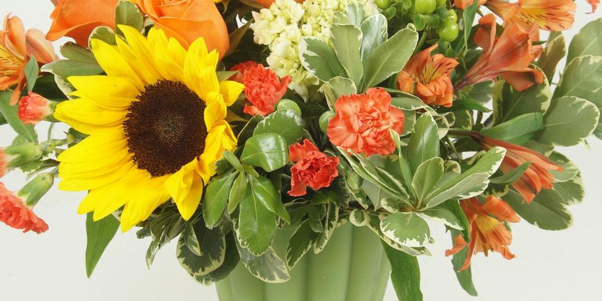 Shotwell Floral & Greenhouse