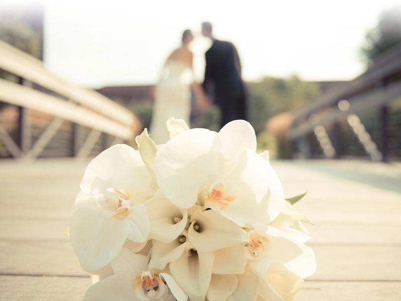 Aberdeen’s Wedding Florist