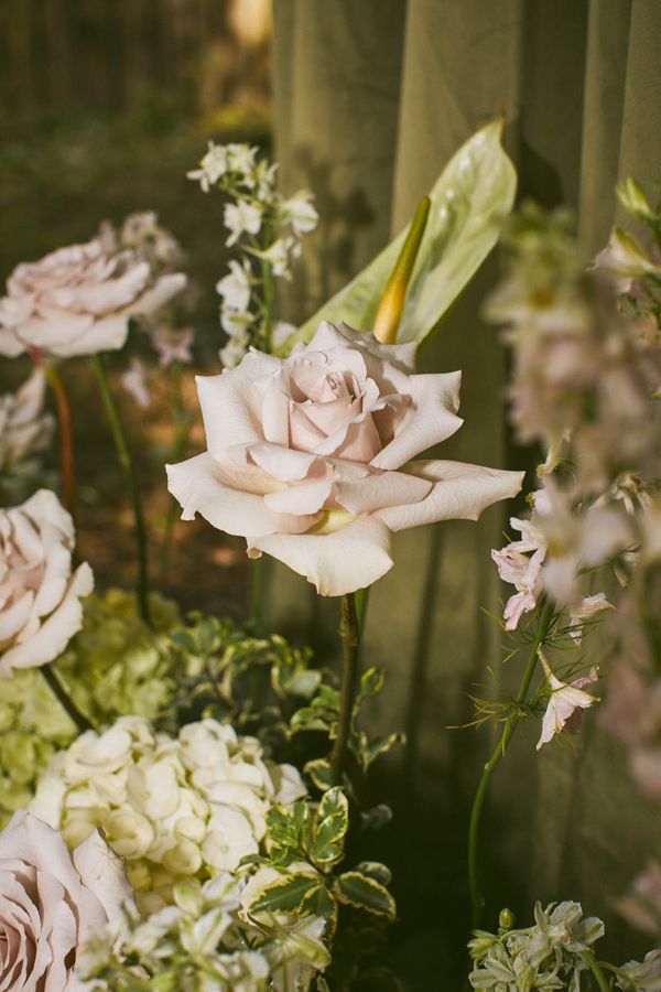 Portfolio image for Sweetleaf Floral