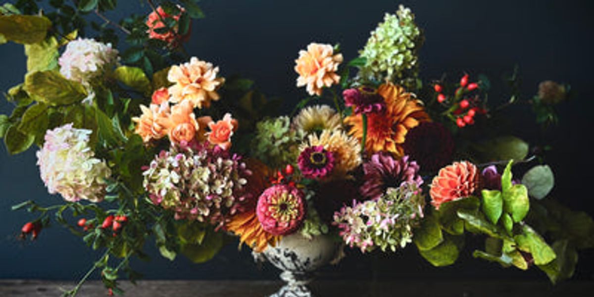 Terra Bella Flowers
