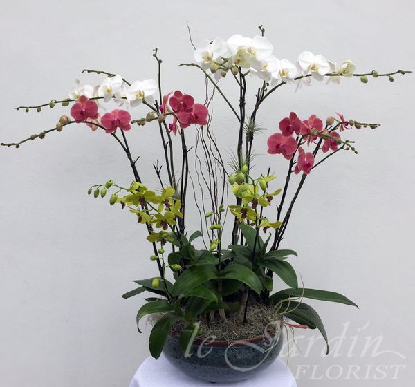 Portfolio image for Le Jardin Florist