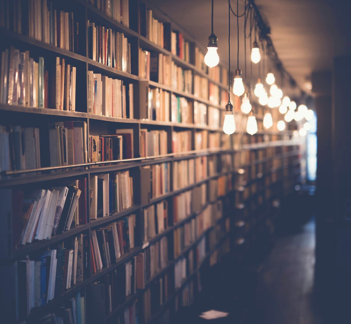 A well-stocked school library supporting academic excellence