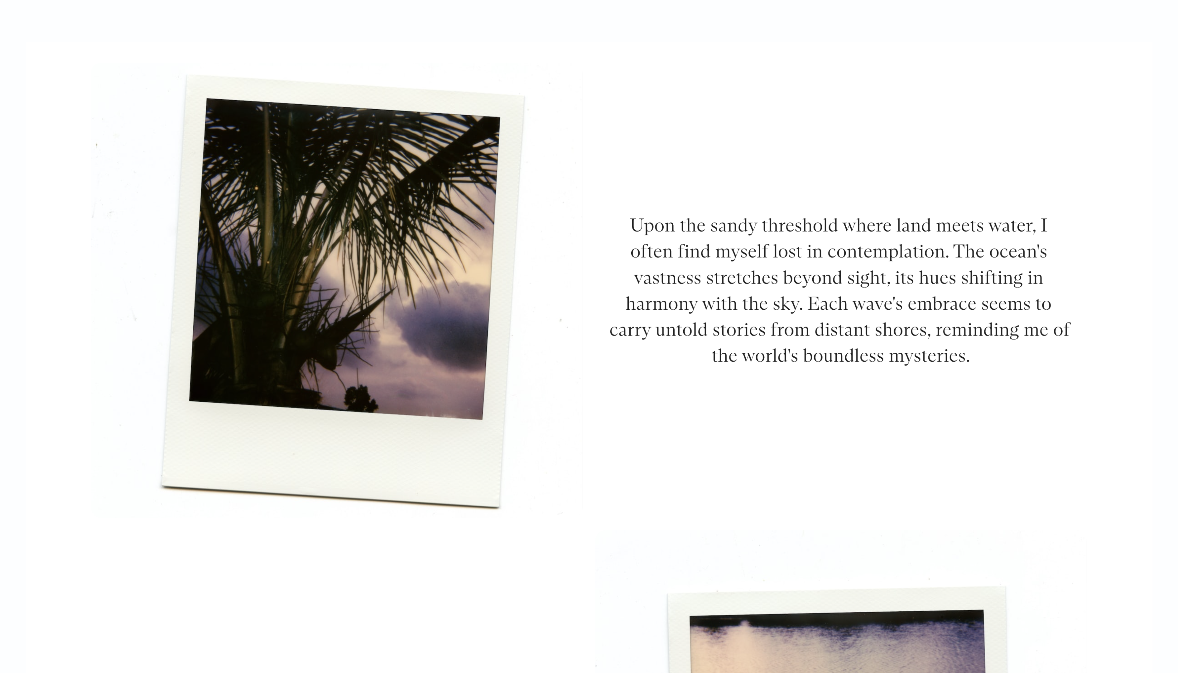 Nostalgia Theme — Photo Section