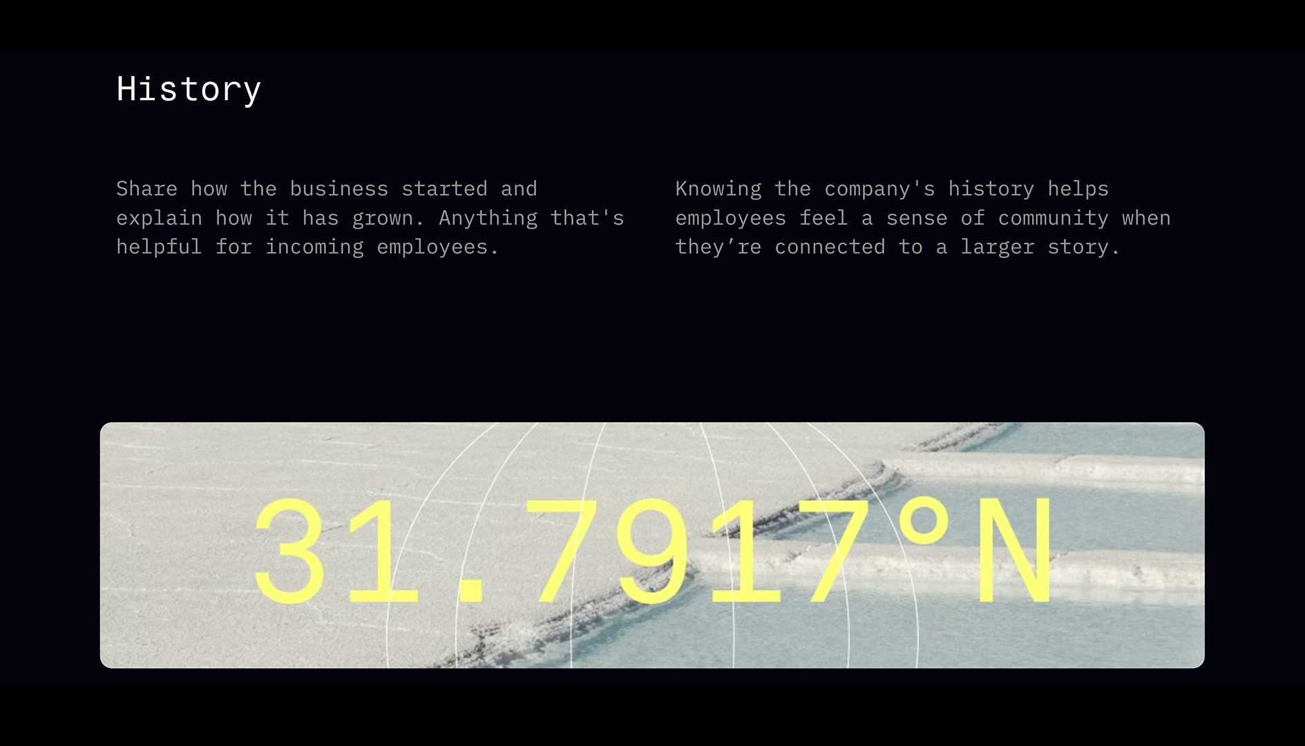 Employee Handbook - History