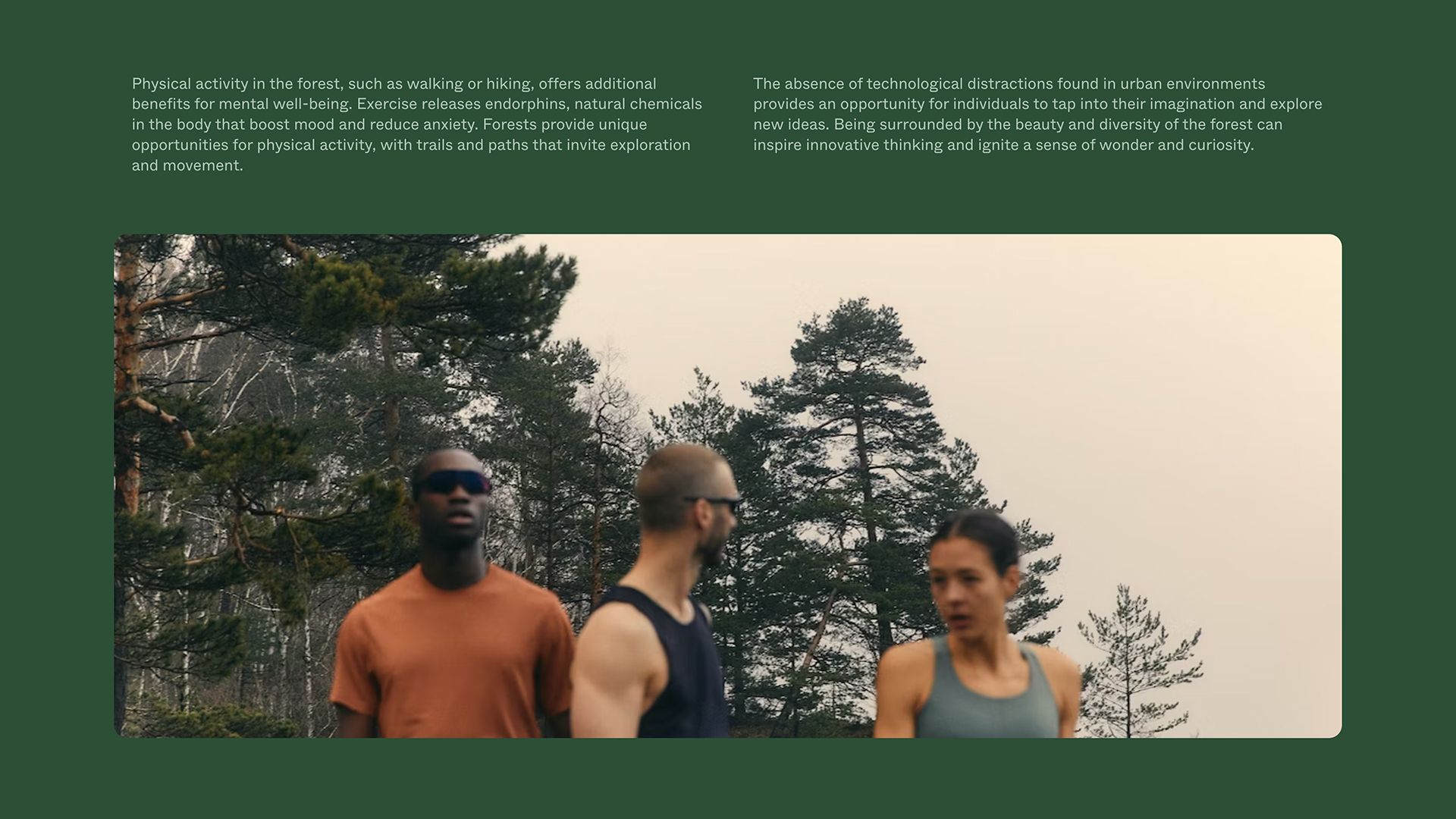 Forest Theme Template – Image Statement Section