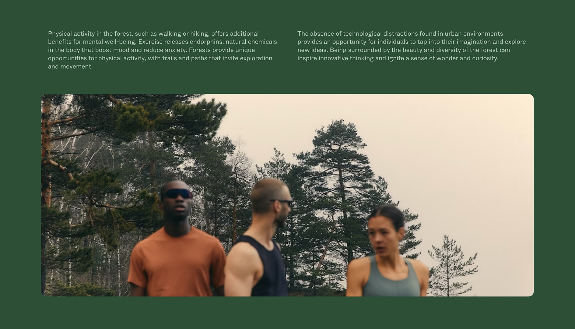 Forest Theme Template – Image Statement Section