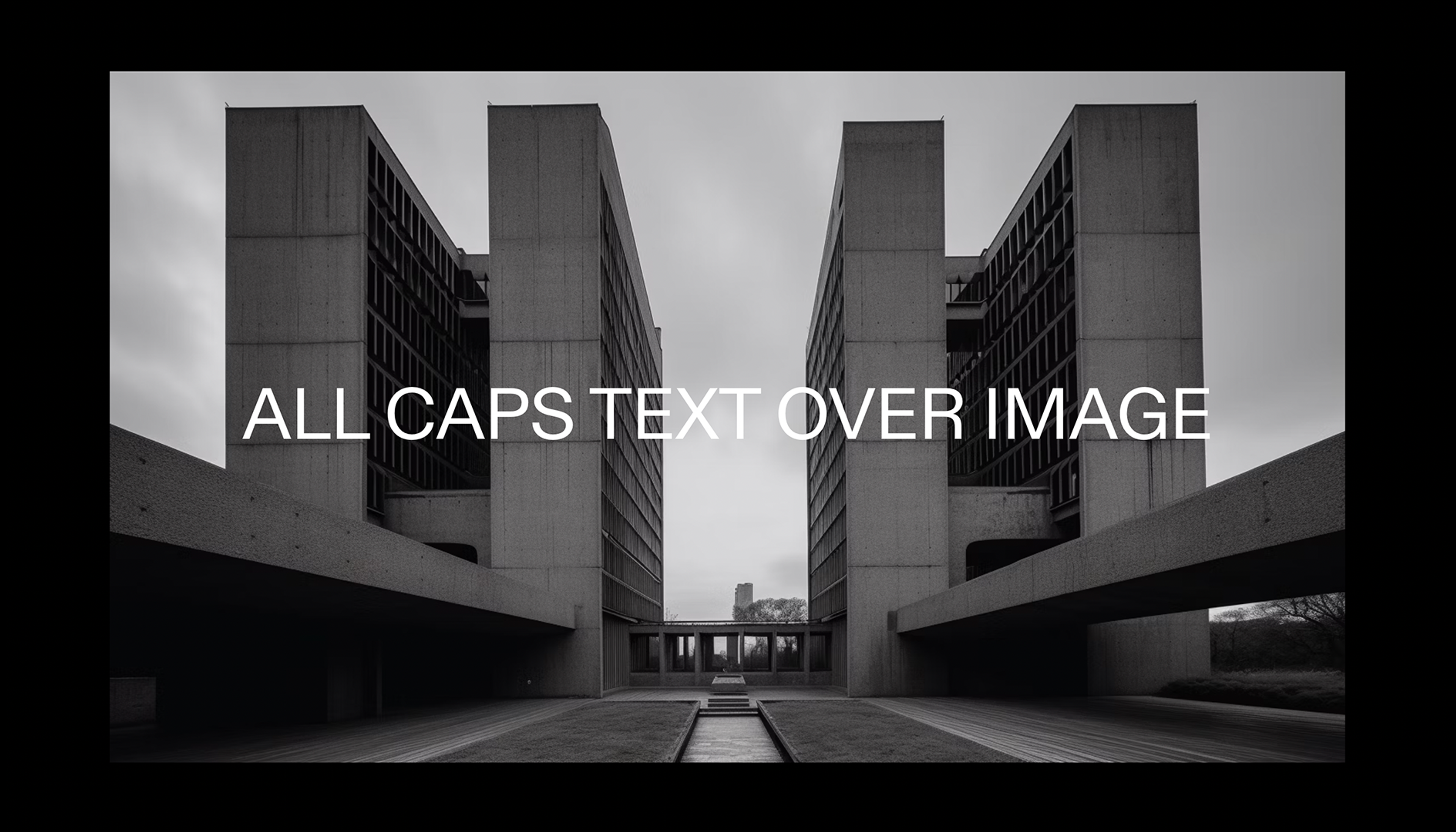 Brutalist Theme - Text Over Image