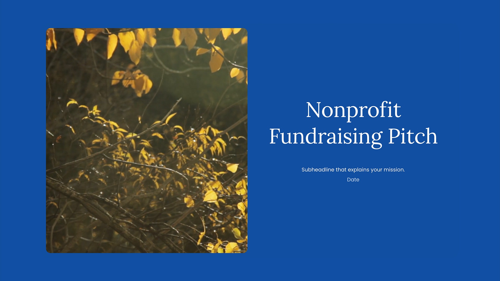 Nonprofit Fundraising Pitch - Cover