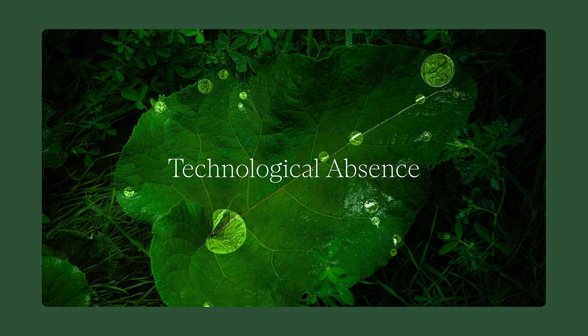 Forest Theme Template – Section Title