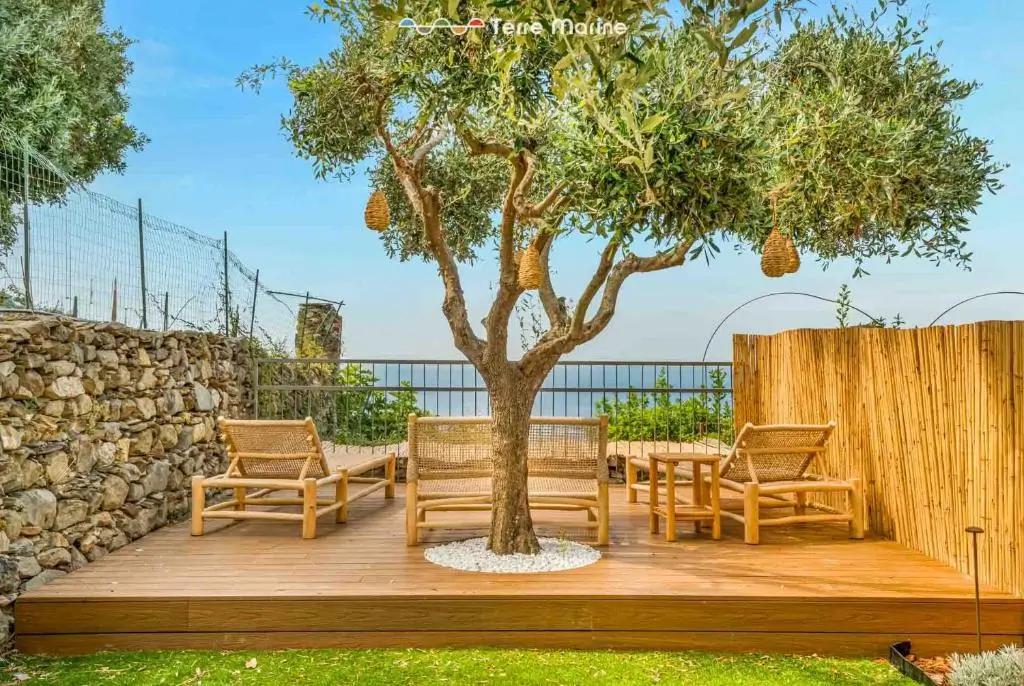 Trè Uliva, Corniglia