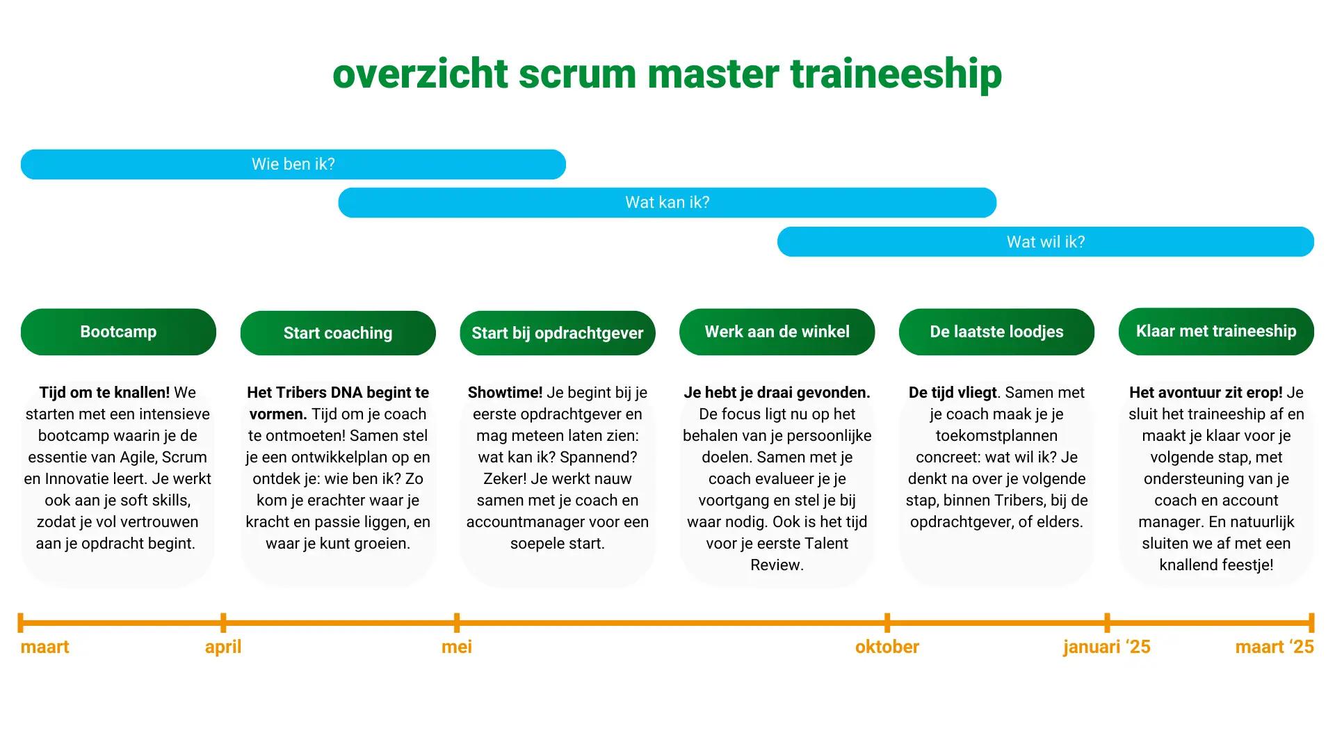 Scrum master traineeship programma tribersa