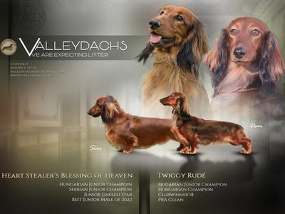 Heart Stealer's Blessing of Heaven és Twiggy Rude alma