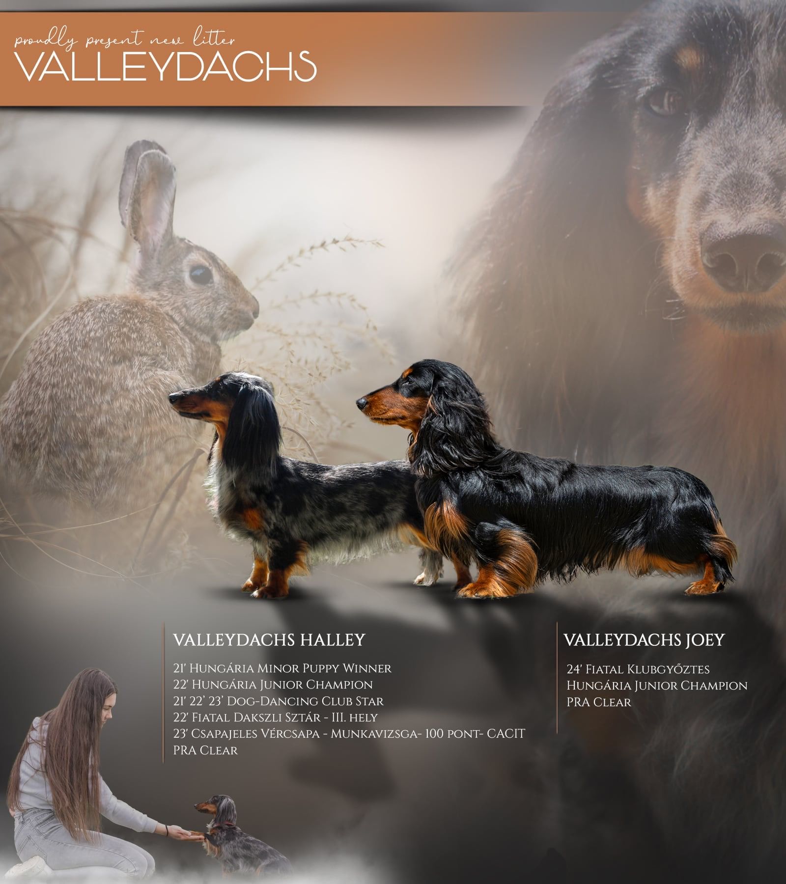 Valleydachs Joey - Valleydachs Halley poszter