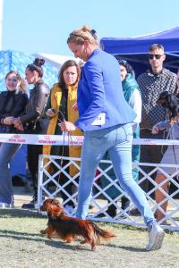 Gallery image 9 about Merida Marziene Gabrisy