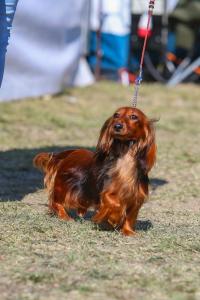 Gallery image 7 about Merida Marziene Gabrisy