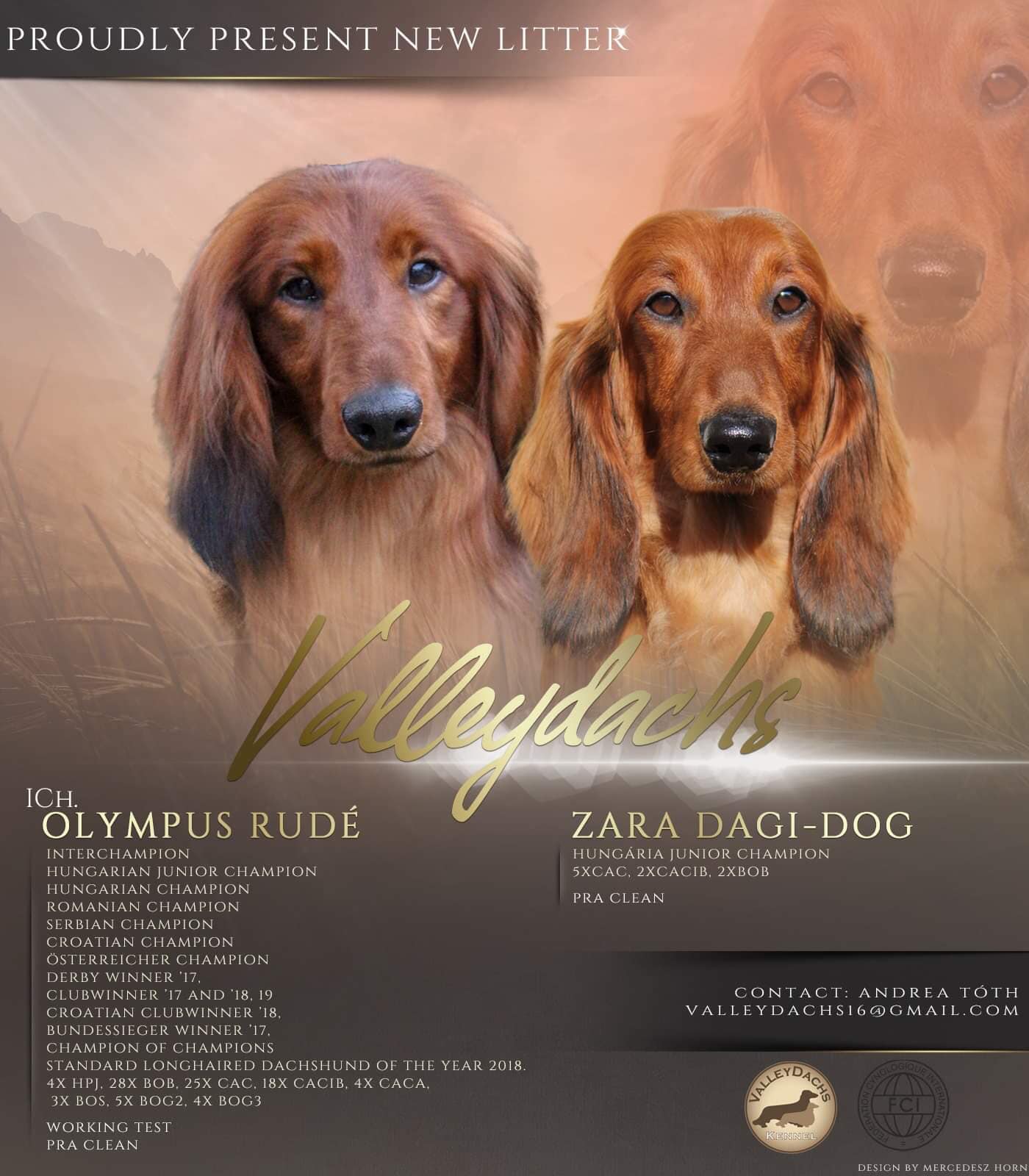 Olympus Rudé - Zara Dagi-Dog poszter