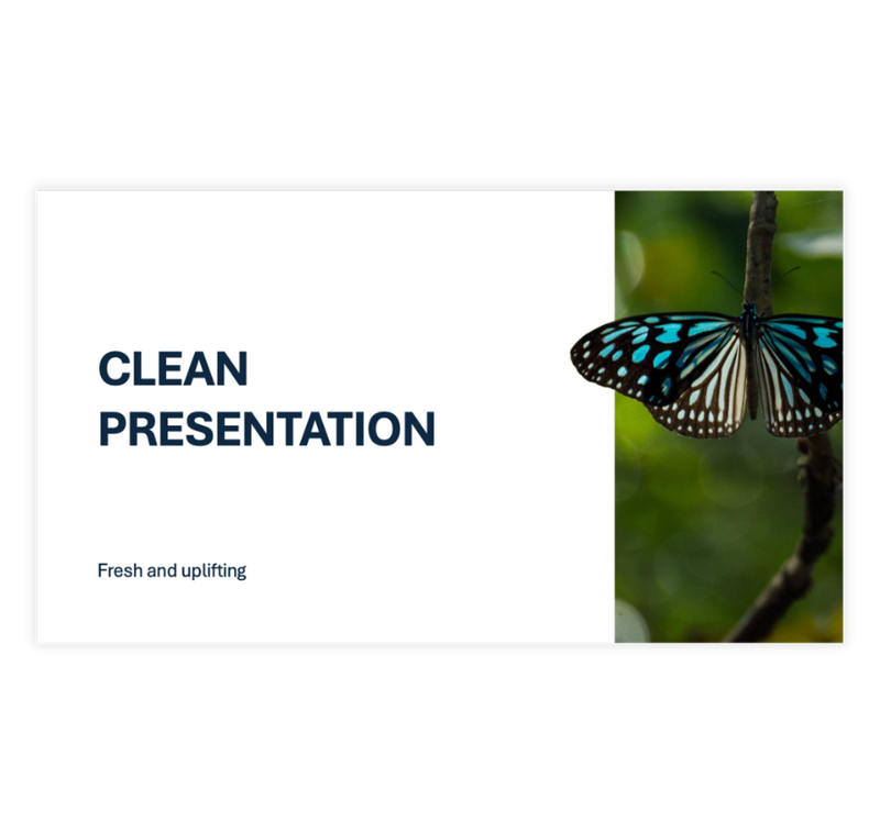 Clean Presentation Template