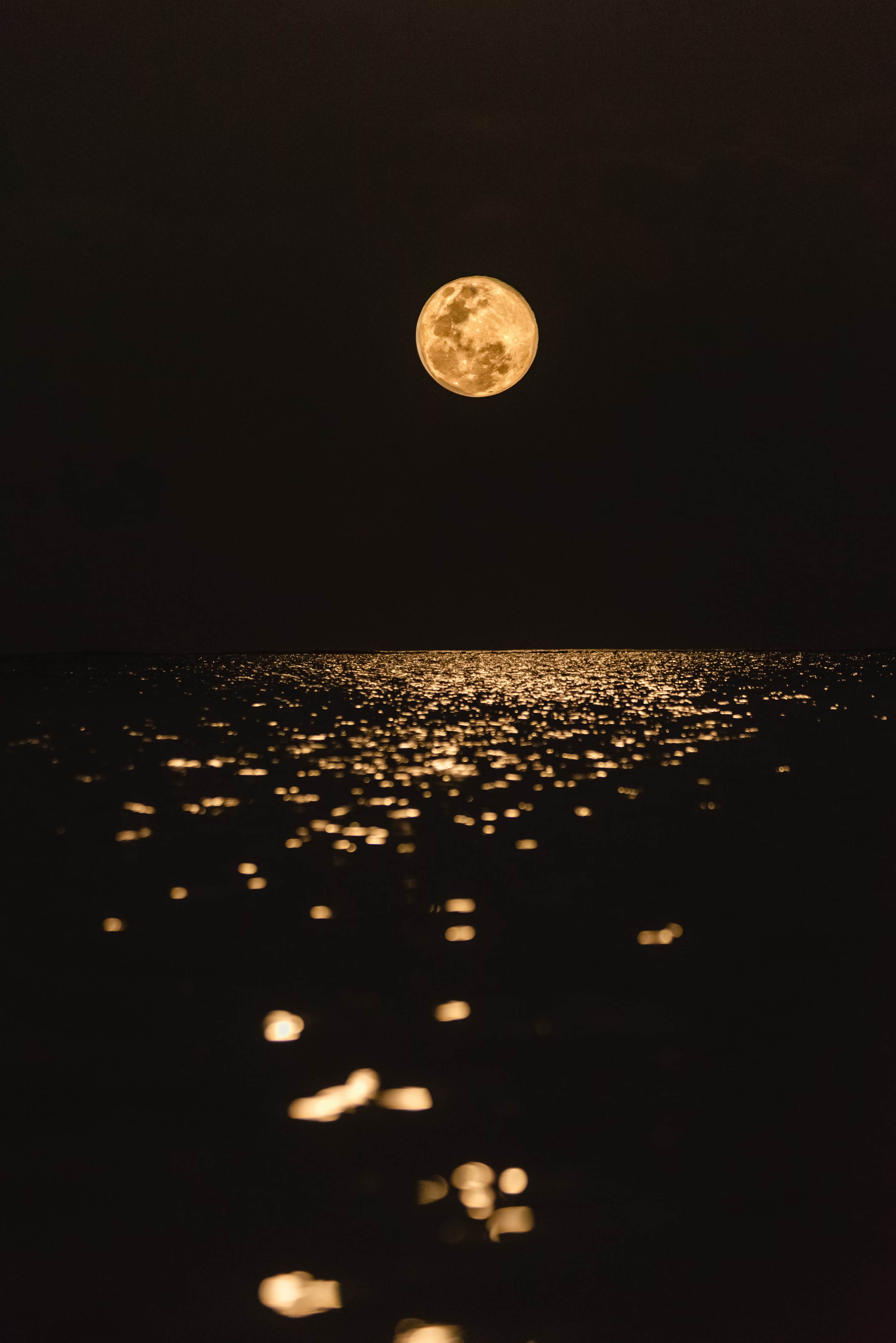 Moonlight Lighting the Path
