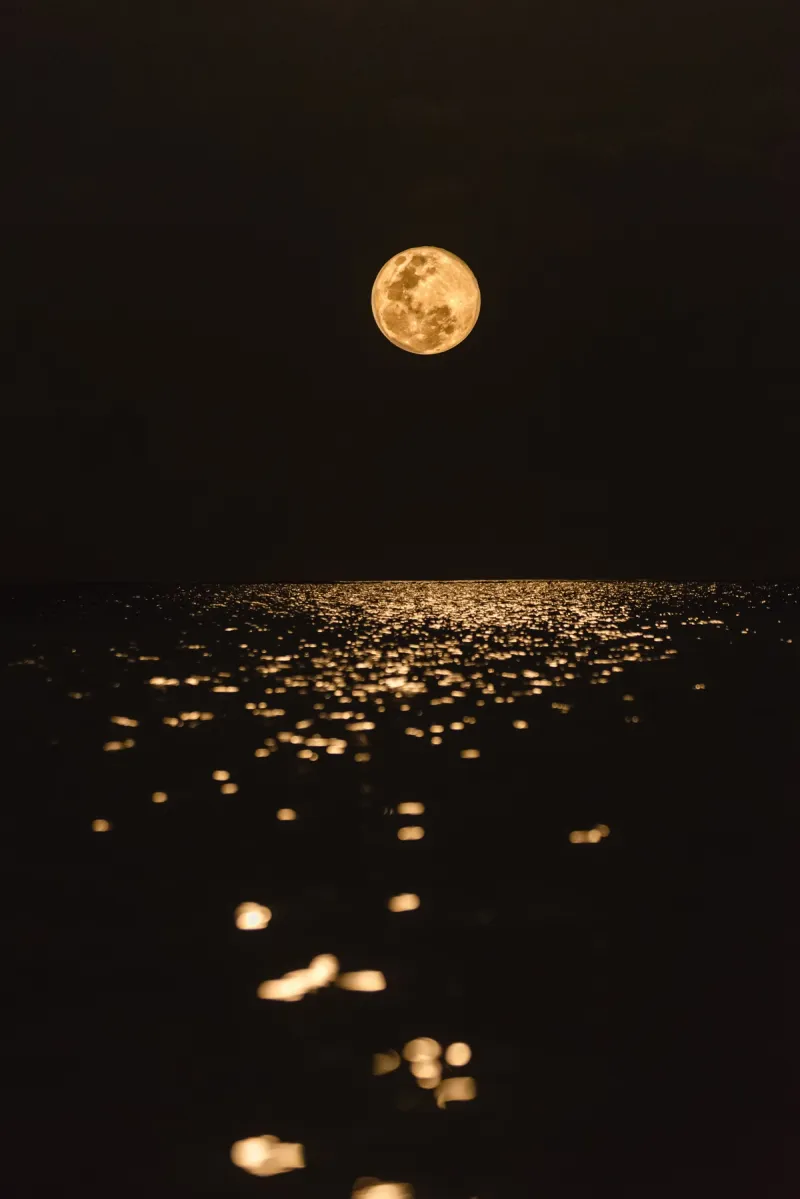 Moonlight Lighting the Path