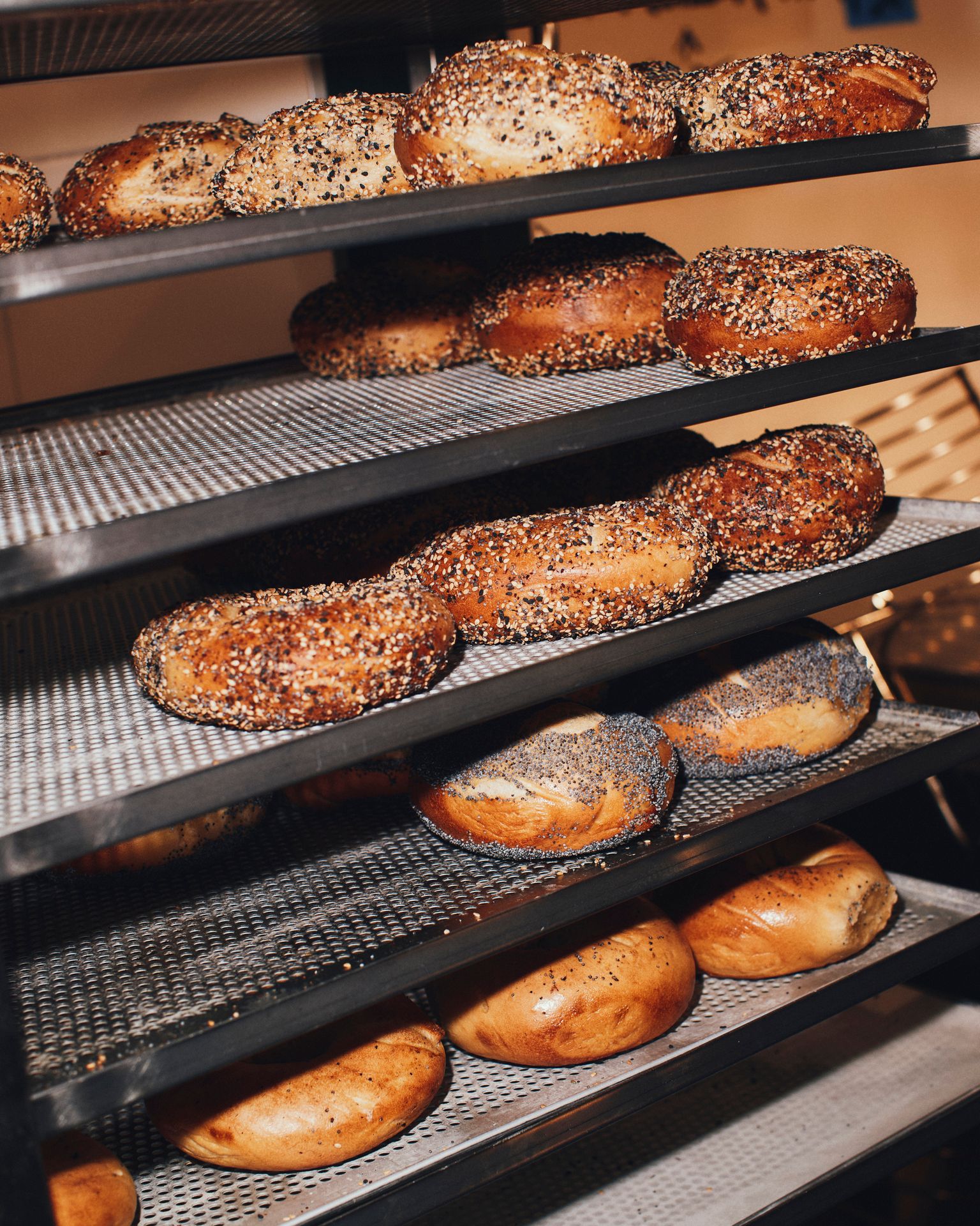 Bob The Bagel Factory