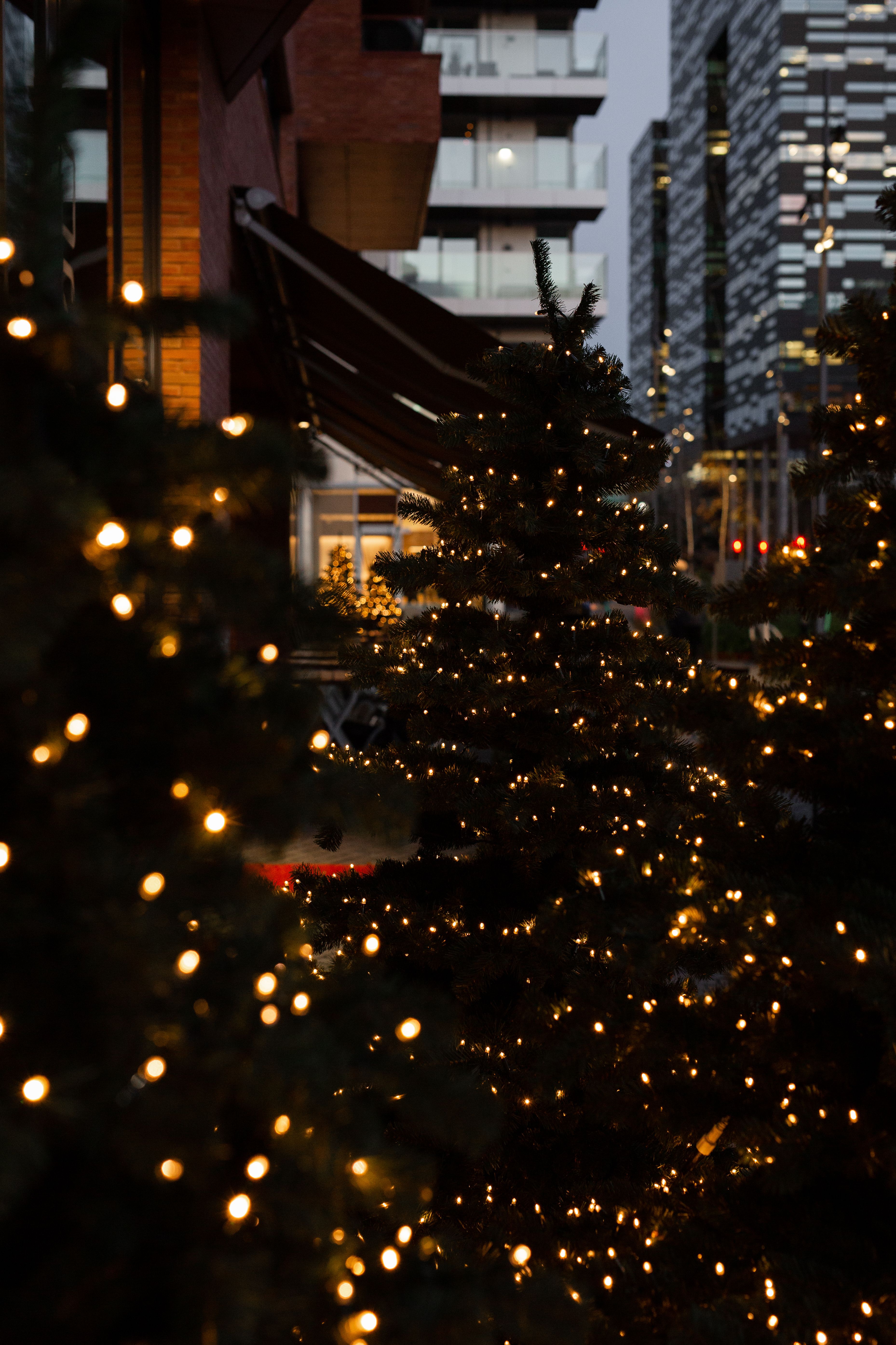 Julelys