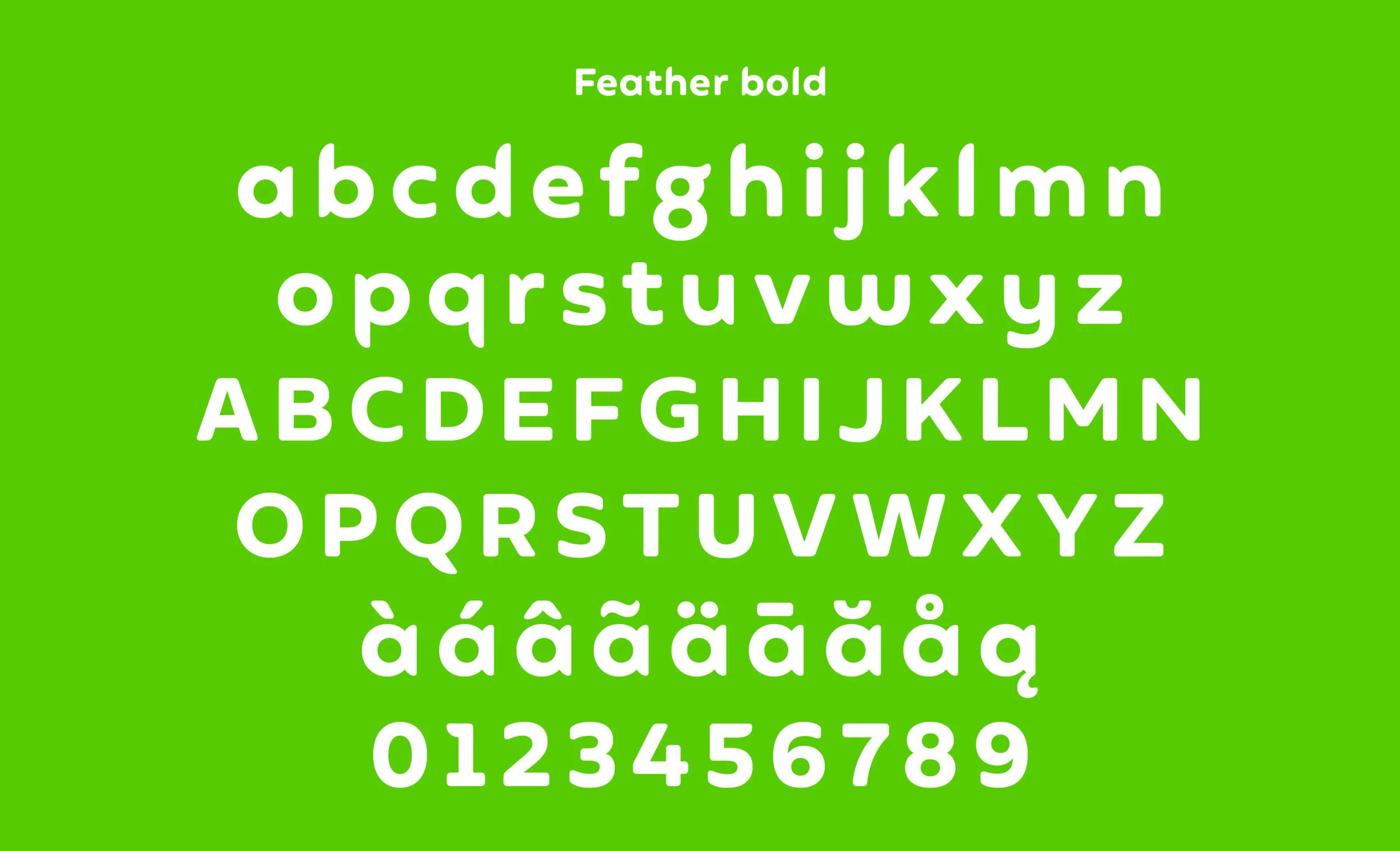 Duolingo custom type specimen displaying rounded letterforms, showing how bespoke typography enhances brand personality and accessibility.