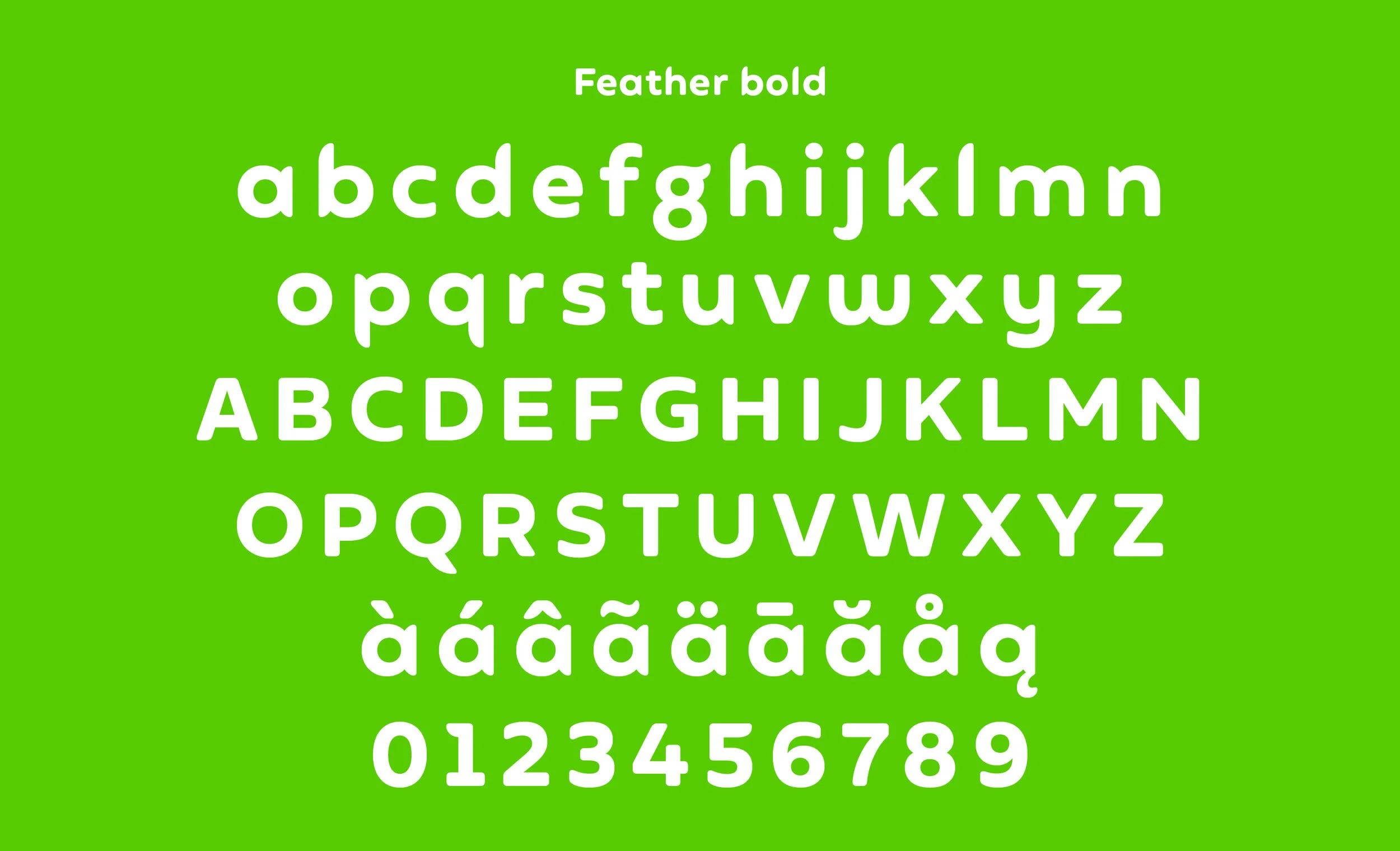 Duolingo custom type specimen displaying rounded letterforms, showing how bespoke typography enhances brand personality and accessibility.