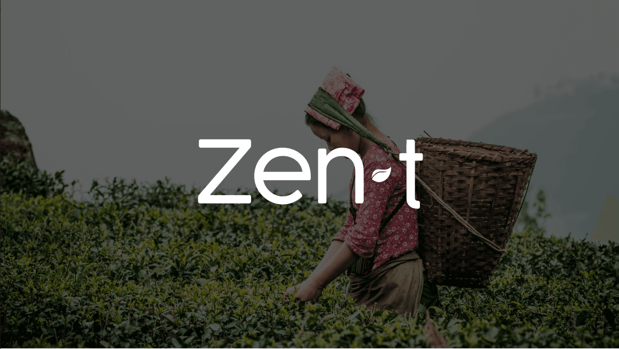 Zen T