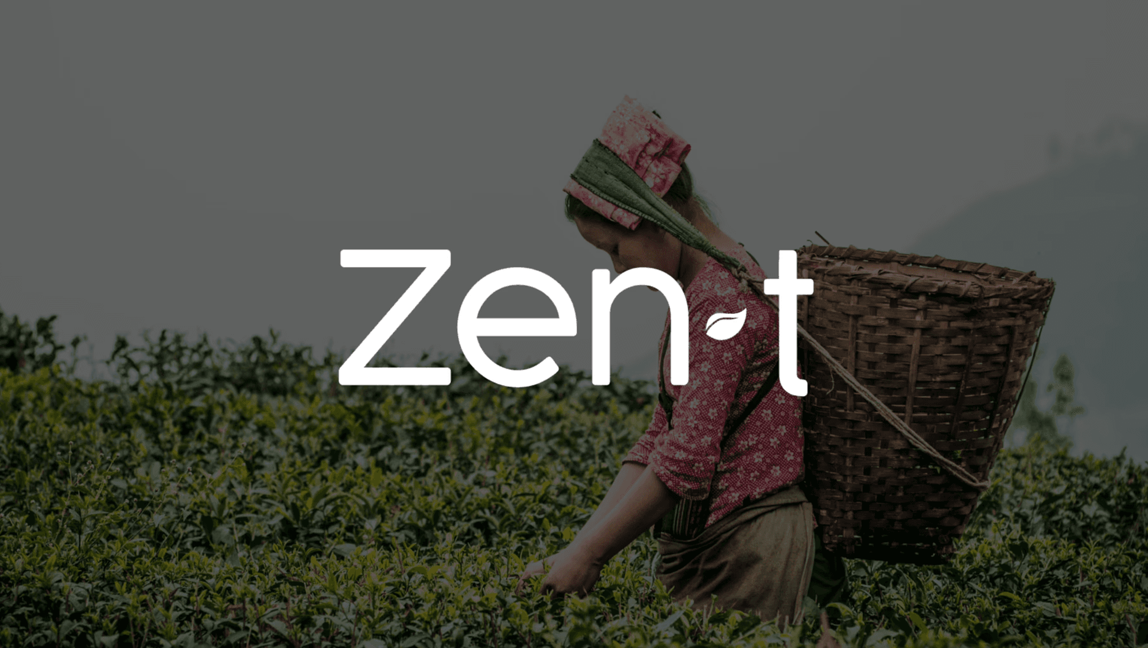 Zen T