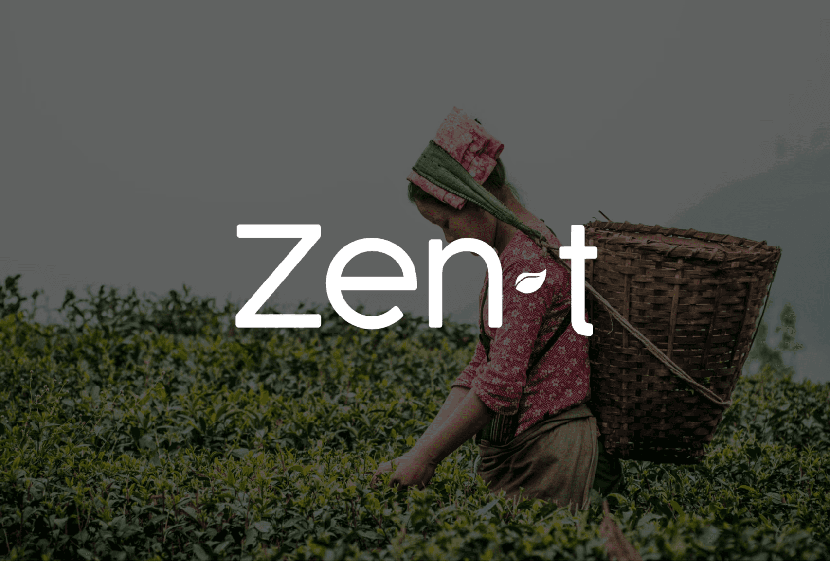 Zen T — Zen T