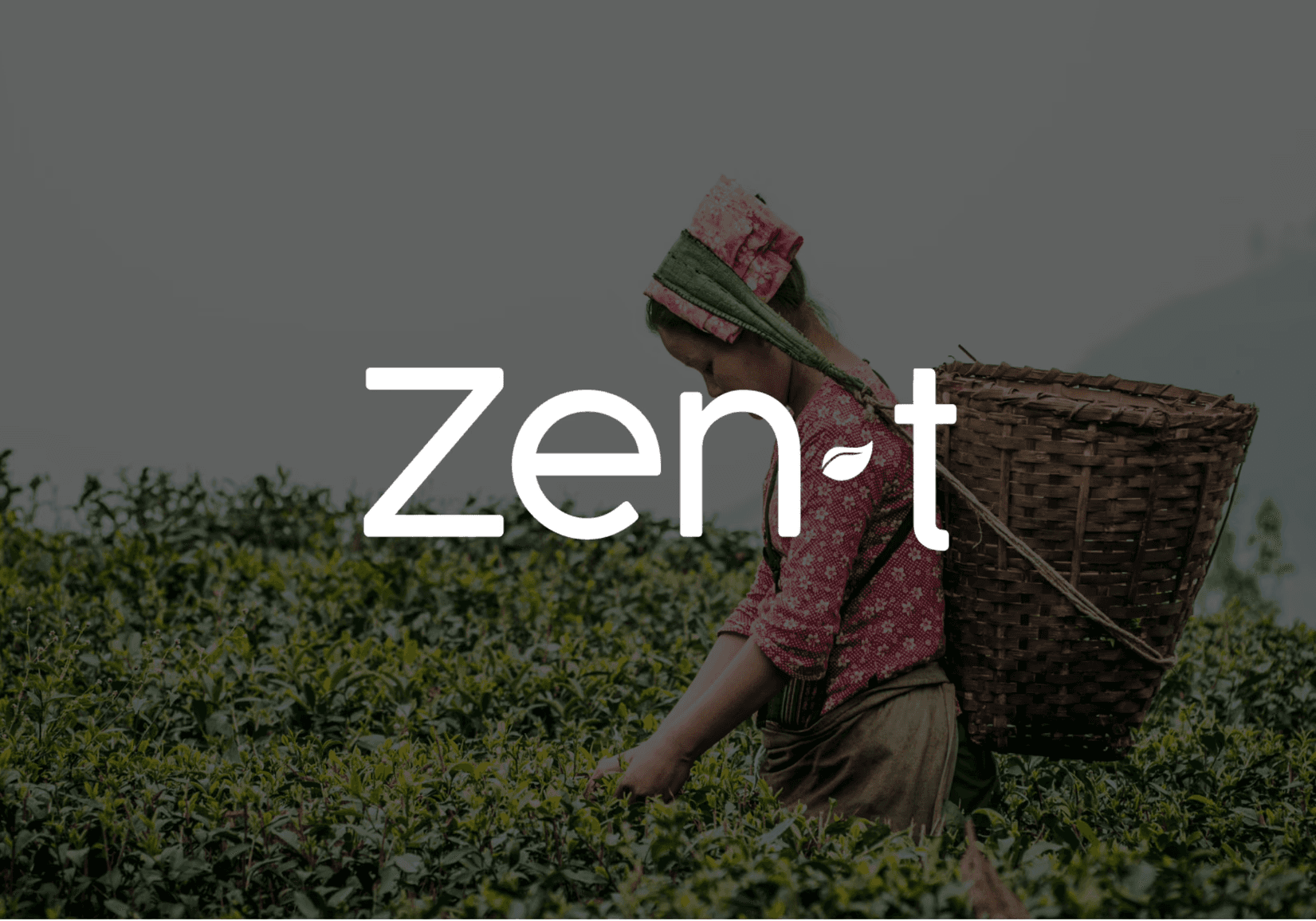 Zen T — Zen T