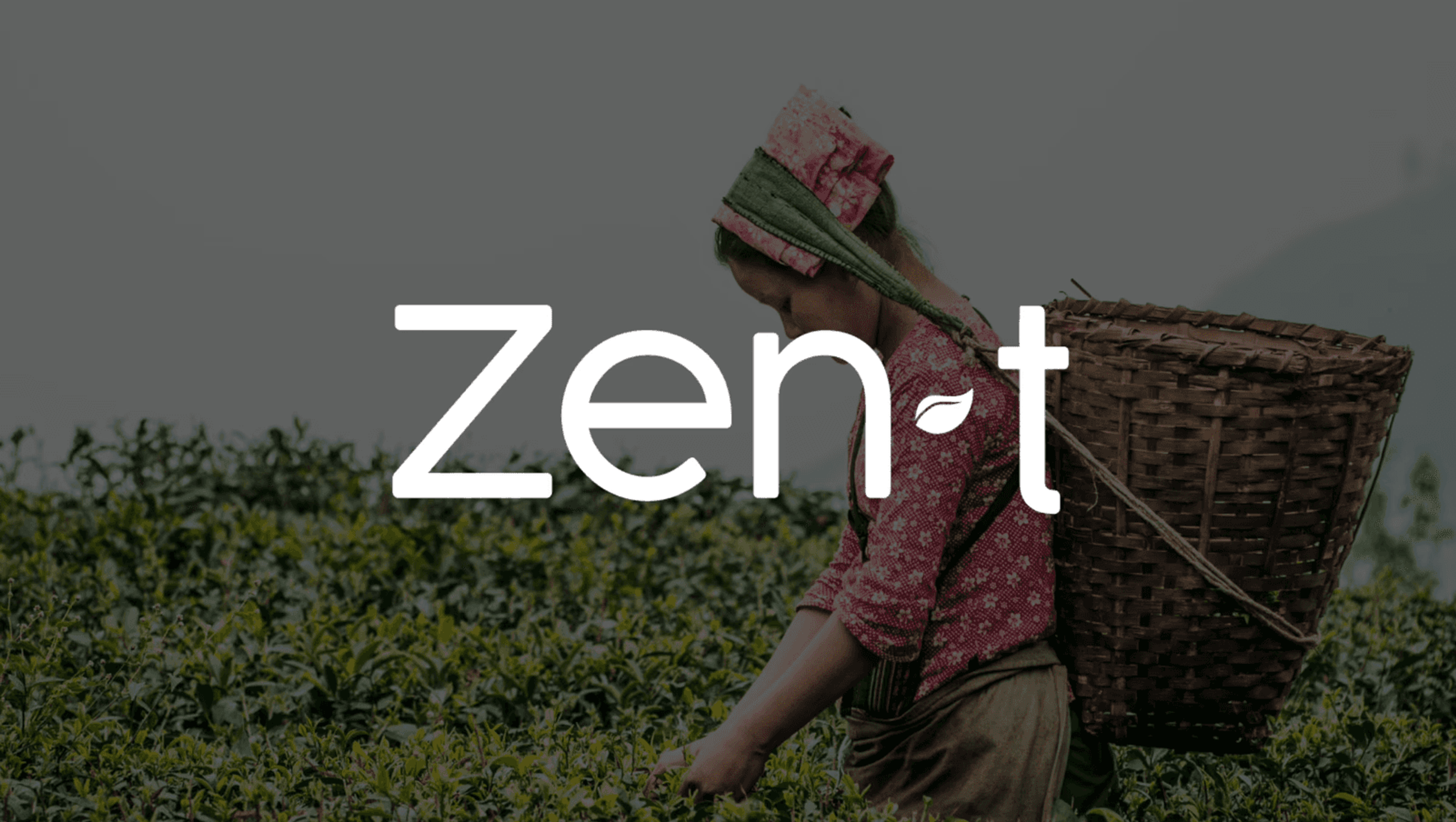 Zen T