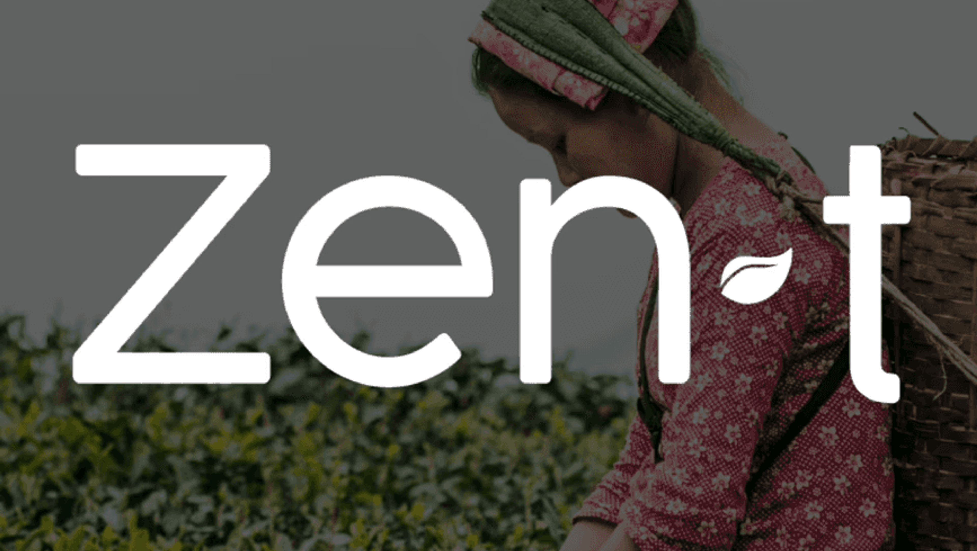 Zen T