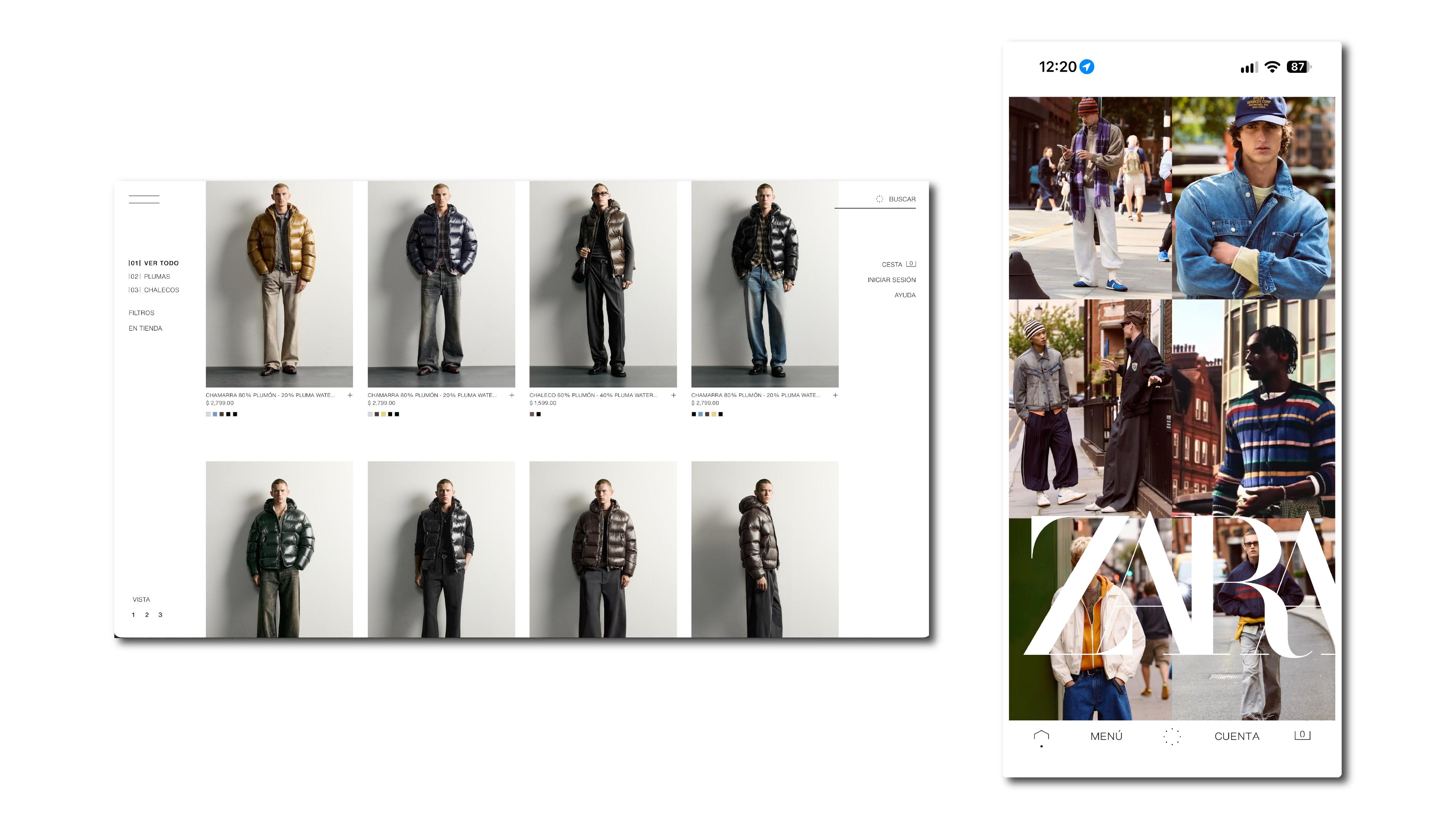 zara website screens