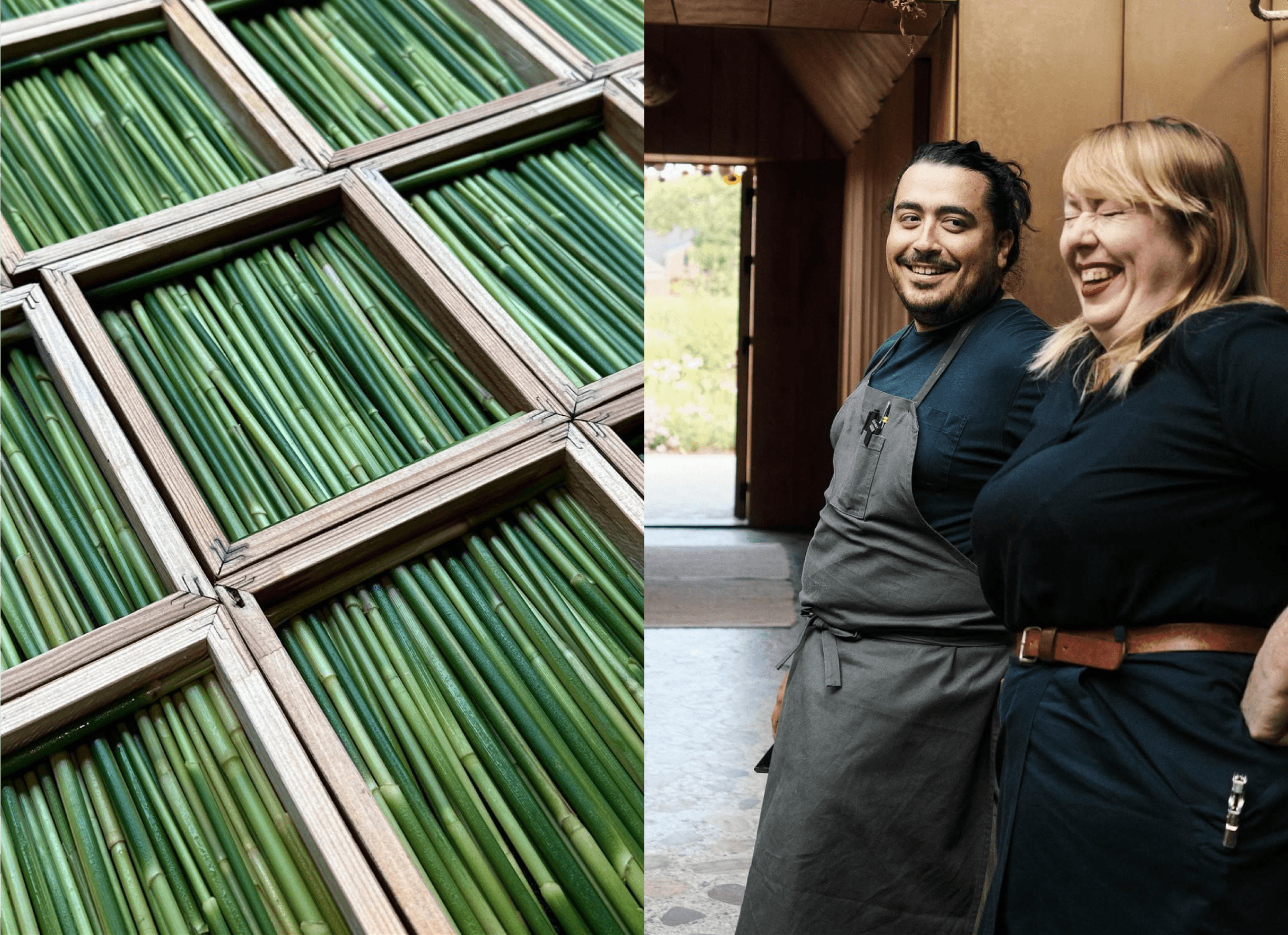 Close-up of green stalks in wooden frames next to two Noma staff laughing in the doorway