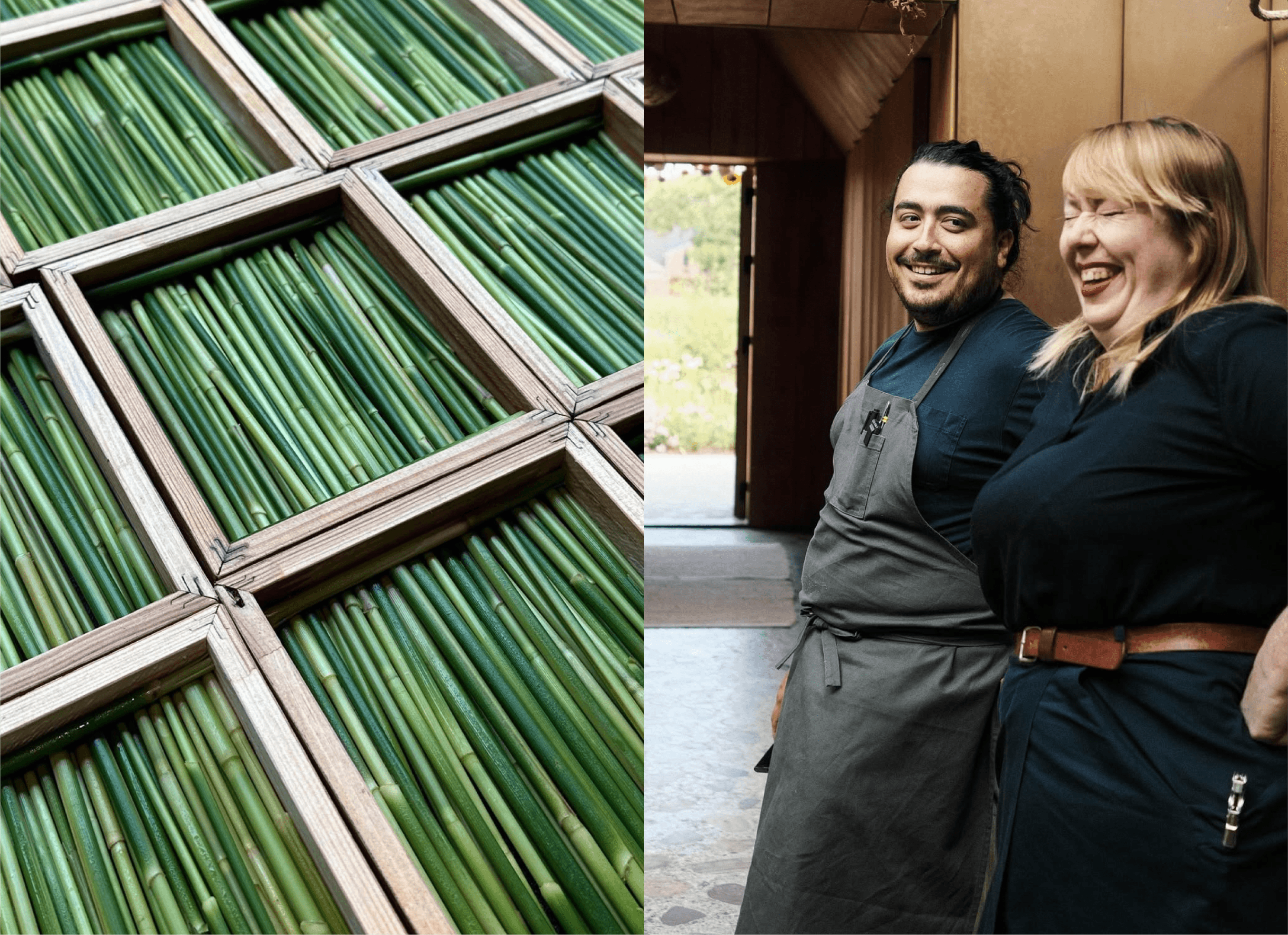 Close-up of green stalks in wooden frames next to two Noma staff laughing in the doorway