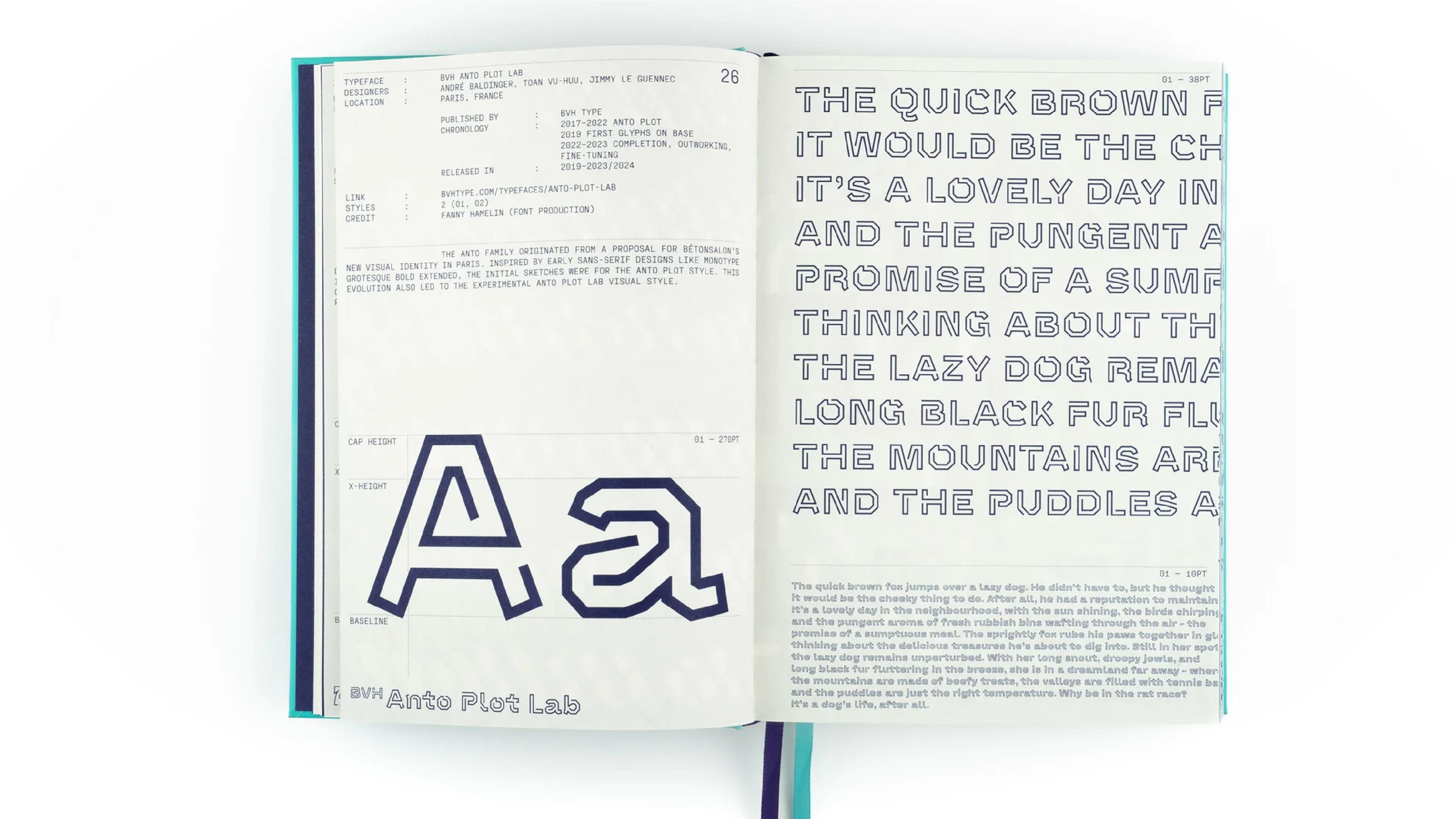 Victionary type in use books