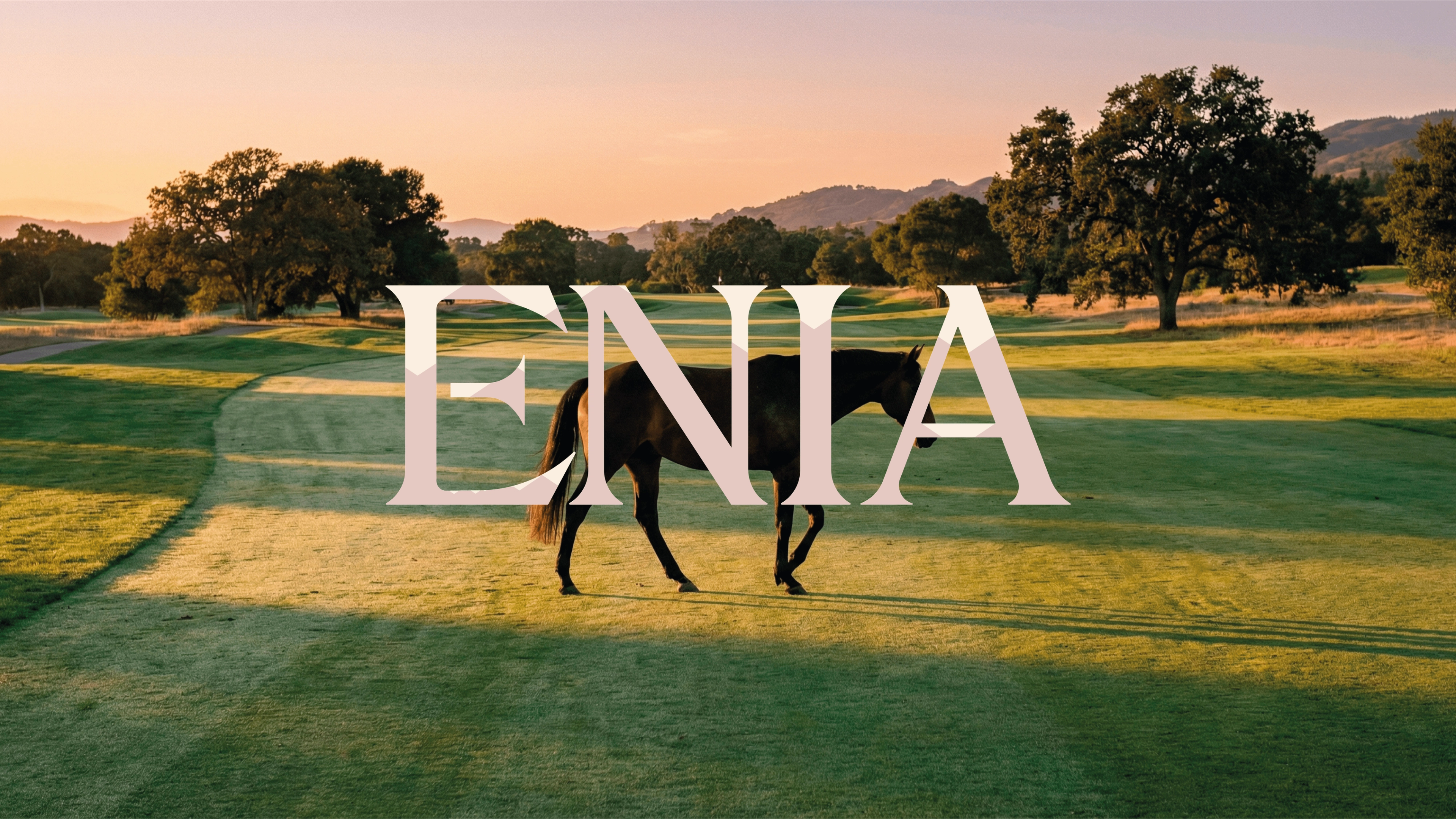 ENIA 2