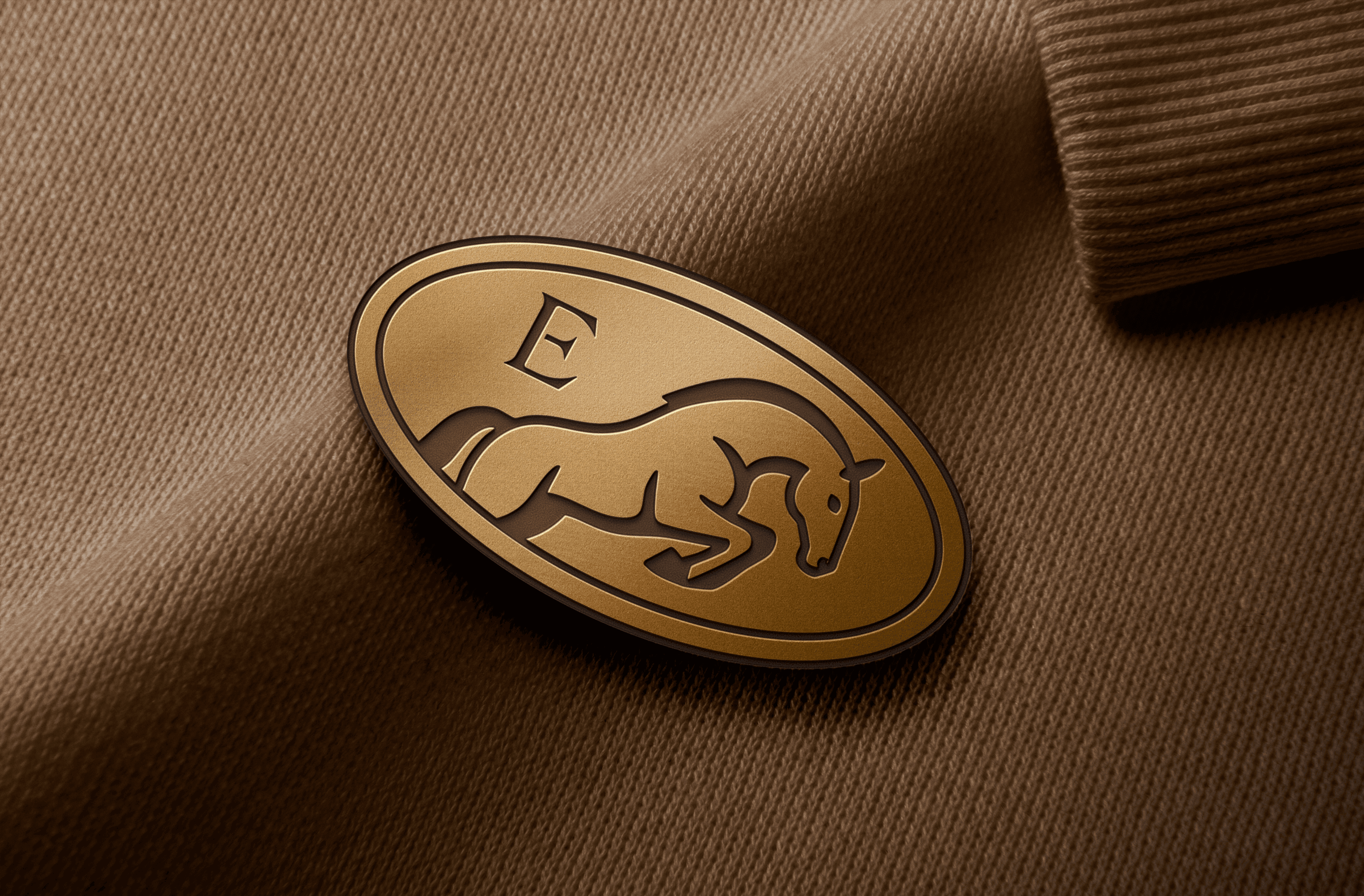 ENIA 1