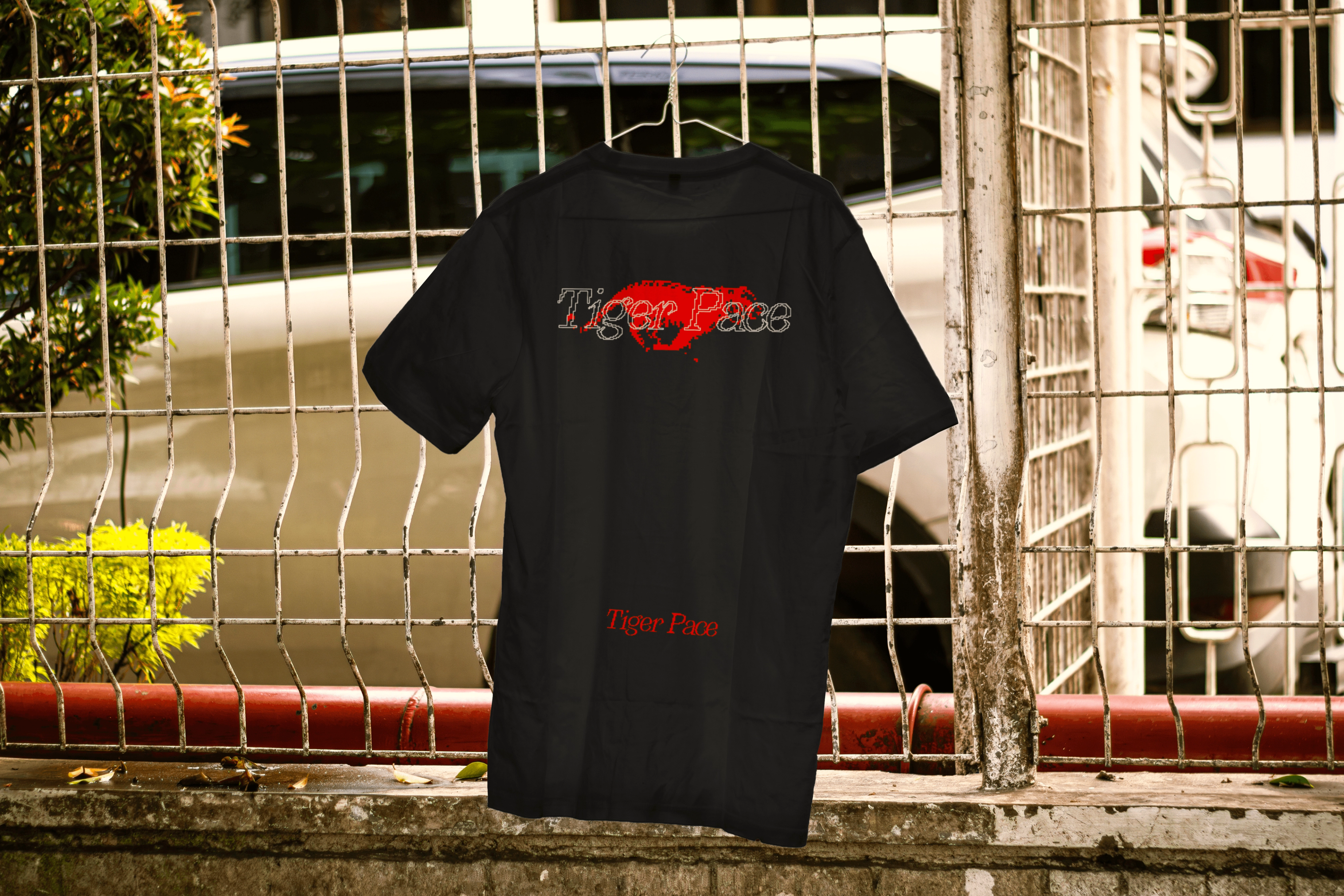 Tiger Pace 1