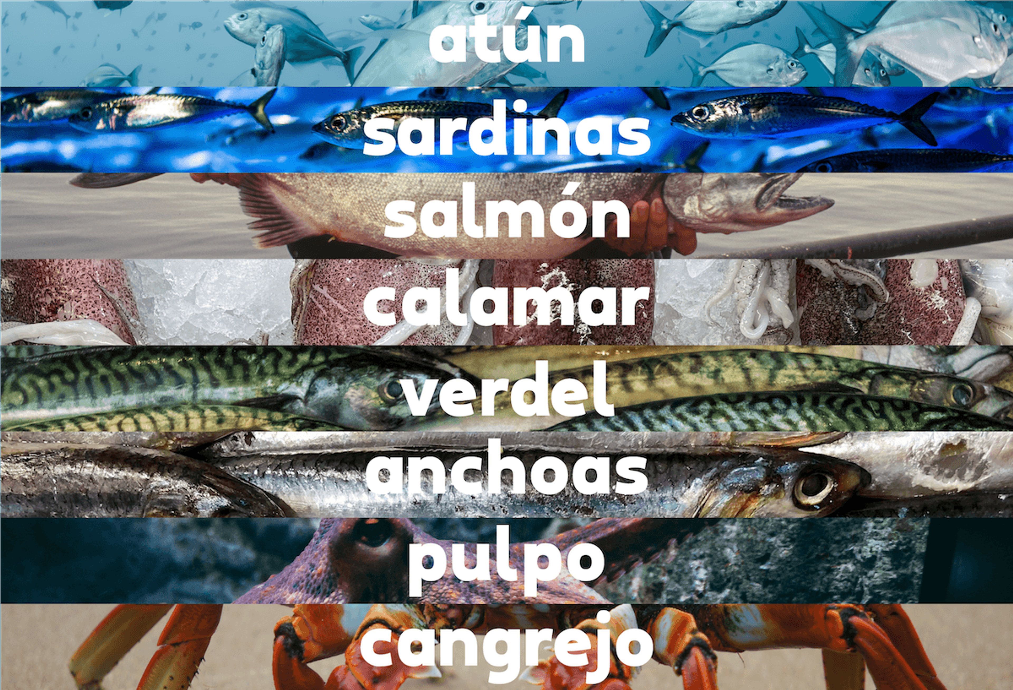 Latoso