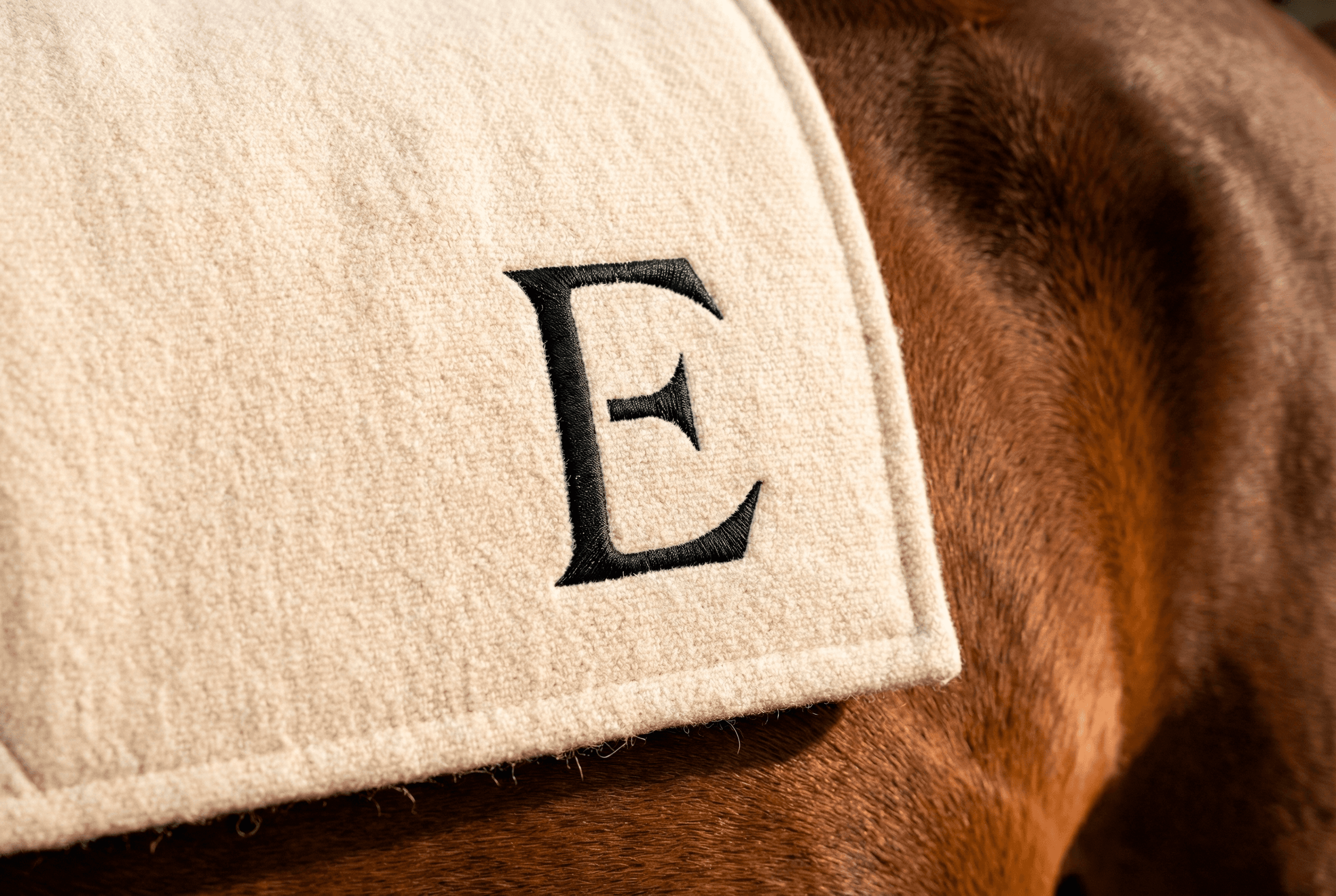 ENIA