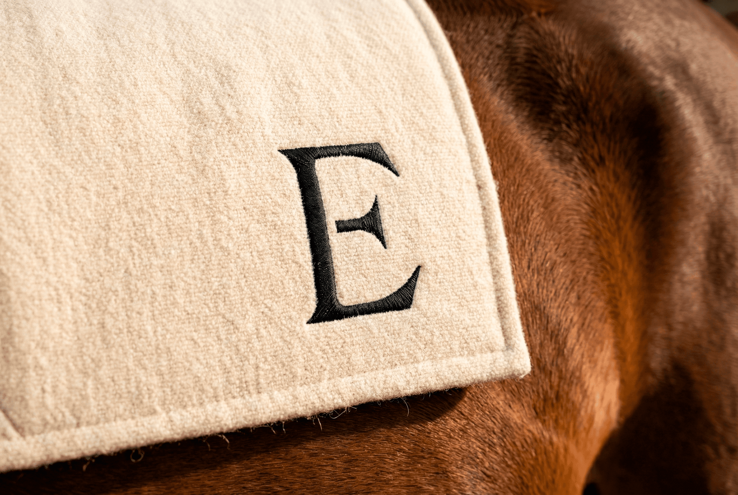 ENIA